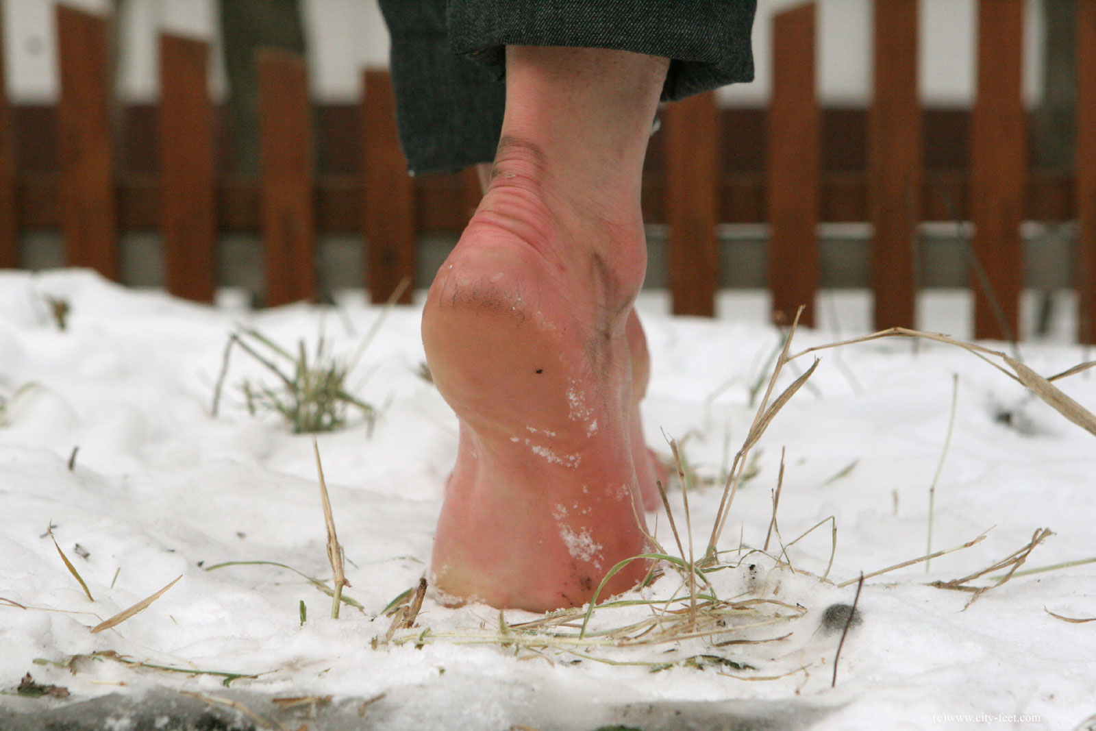 Chilly Feet Girls Barefoot On Snow.